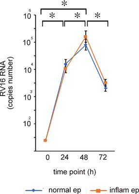 Rhinovirus-induced anti-viral interferon secretion is not deficient and not delayed in sinonasal epithelial cells of patients with chronic rhinosinusitis with nasal polyp